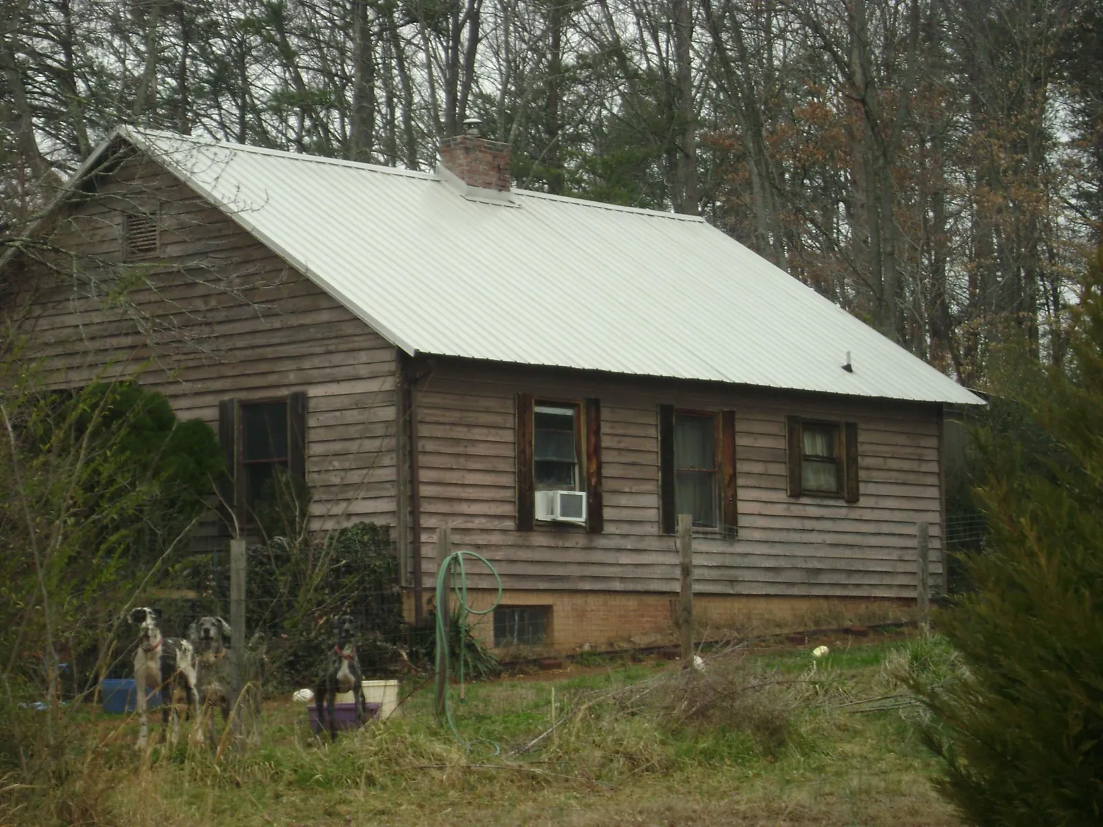 White metal roof on an old wood sided farmhouse, from a Asphalt Shingle Roof Repair job in White